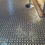 Floor unglazed and mother of pearl