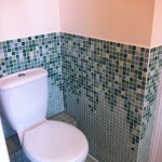 green-graduated-tiles-in-loo_1